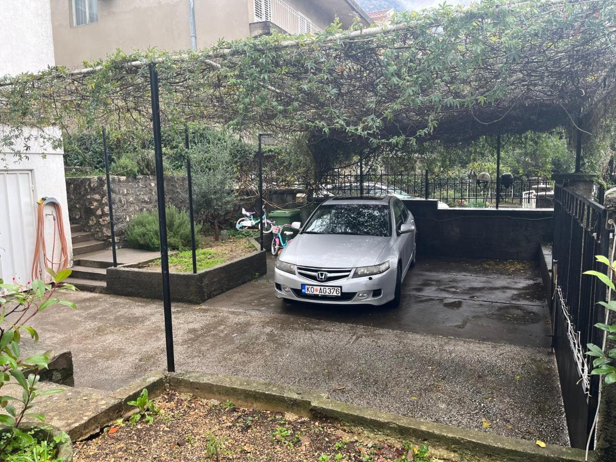 Apartment Kiwi Kotor Dış mekan fotoğraf