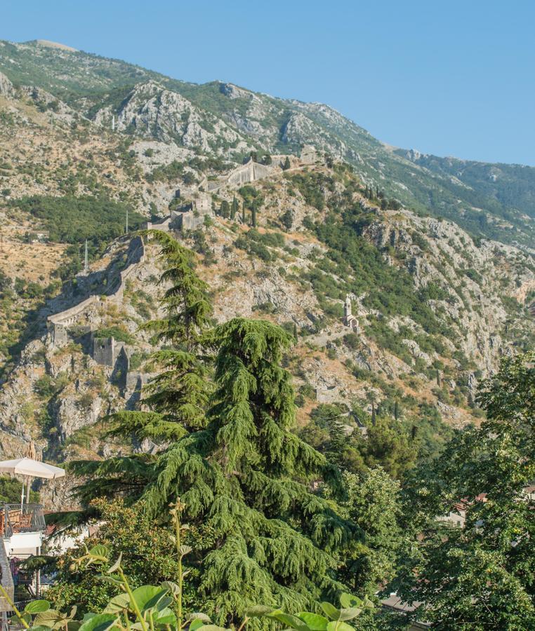 Apartment Kiwi Kotor Dış mekan fotoğraf